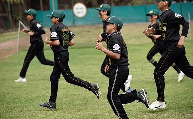 Alista IMSS clínicas de beisbol en todo el país; participa en torneo infantil organizado por las Grandes Ligas.