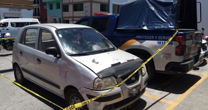 Interviene Unidad Canina de la Policía Tepic en rescate de perrito que dejaron encerrado en auto.