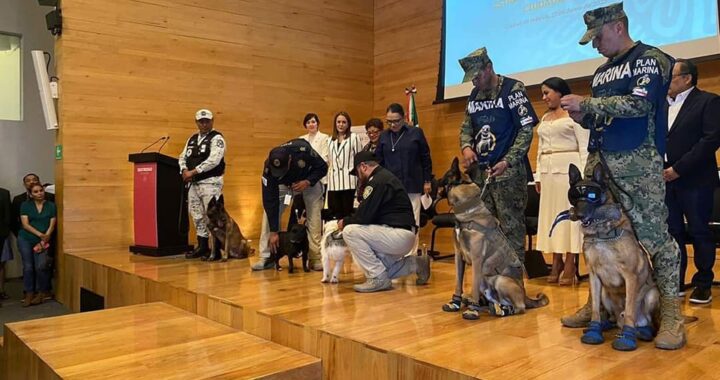 Gobierno de Tepic, presente en el Foro Nacional para Prevenir Violencia hacia los Animales.,