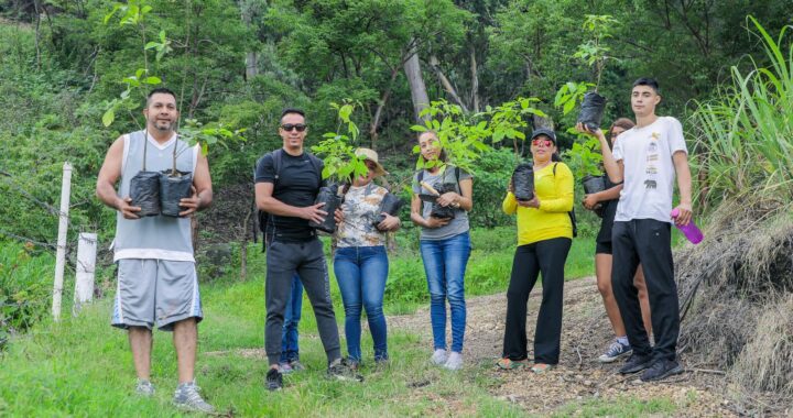 Gobierno de Tepic planta otros 5 mil árboles en el cerro de San Juan.