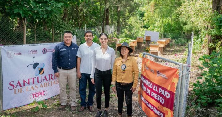 Inaugura Geraldine Ponce el primer santuario de abejas en Nayarit.