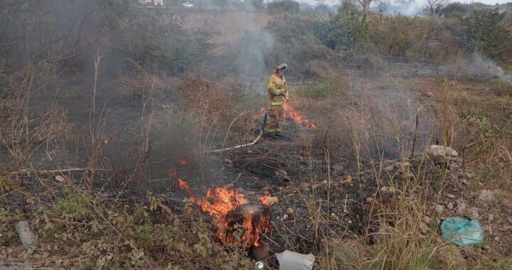 Evitan Bomberos de Nayarit propagación de incendio forestal en Tecuala.