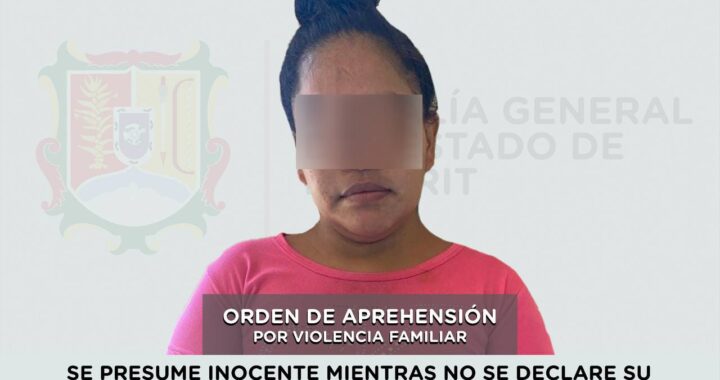 PREHENDIDA POR VIOLENCIA FAMILIAR EN AGRAVIO DE UNA NIÑA.