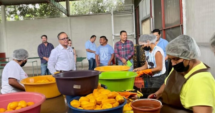 VISITA SEDECO DESHIDRATADORA DE MANGO EN JALCOCOTÁN, SAN BLAS; JPL.