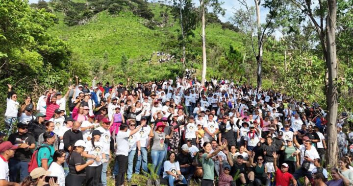 Salva Geraldine al cerro de San Juan con 30 mil árboles plantados.