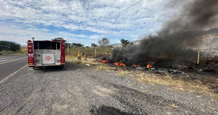 Sofocan Bomberos de Nayarit incendio de pastizal en el municipio de Ahuacatlán.