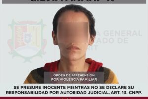 APREHENDIDA POR VIOLENCIA FAMILIAR EN AGRAVIO DE TRES NIÑOS.