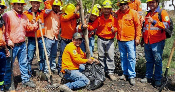Gobierno de Nayarit protege la naturaleza en el proyecto del nuevo estadio de futbol NAO.