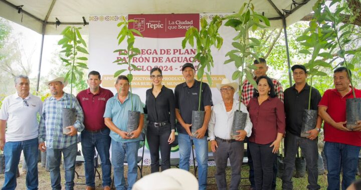 Geraldine impulsa al sector agrícola con entrega de 9 mil plantas de aguacate.