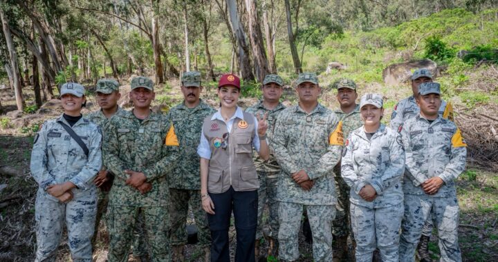 Geraldine Ponce inicia reforestación 2025 en el Cerro de San Juan .