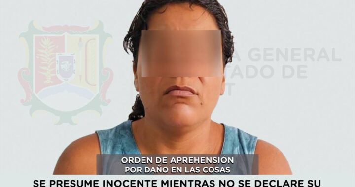 DETENIDA PRESUNTA RESPONSABLE DE DAÑO EN LAS COSAS .