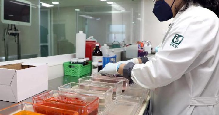 Diagnóstico oportuno y atención multidisciplinaria, claves en el tratamiento exitoso del sarcoma .}
