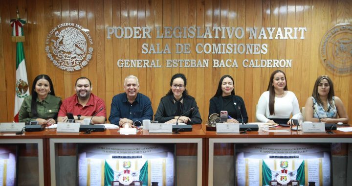 Evalúa Congreso perfiles para el Consejo Consultivo de Derechos Humanos.