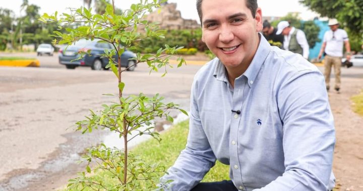Héctor Santana encabeza Jornada de Arborización en el Crucero de los Indios.