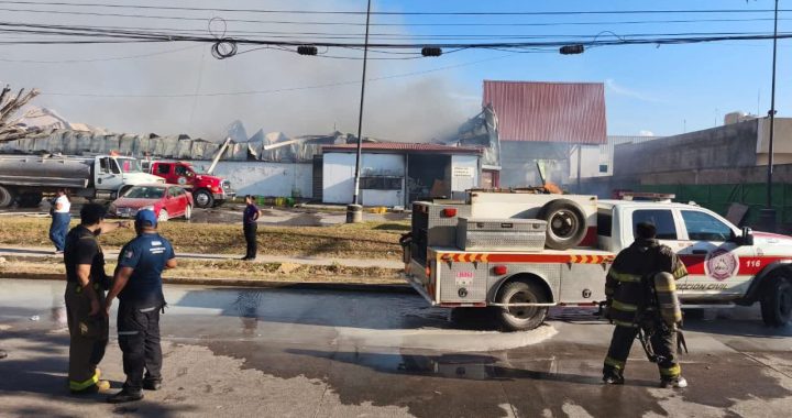Gobierno de Bahía de Banderas envía apoyo inmediato a Puerto Vallarta tras incendio en Bodega Aurrera de Ixtapa .