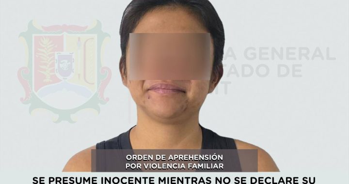 DETENIDA POR EJERCER VIOLENCIA FAMILIAR CONTRA UNA MUJER .
