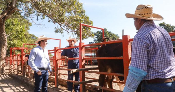 Héctor Santana seguirá fortaleciendo al sector ganadero.