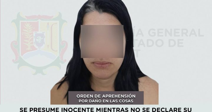 DETENIDA EN COMPOSTELA POR DAÑO EN LAS COSAS.