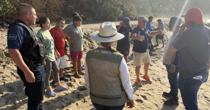“Marquitos” el lobo marino se encuentra mejorando.