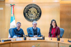 Presente Geraldine en el Parlamento Juvenil de la Cámara de Diputados.