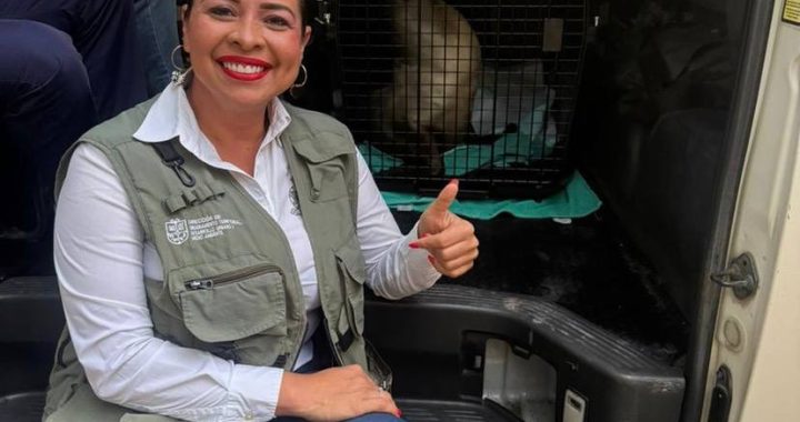 Héctor Santana apoya la cirugía de «Marquitos» en Guadalajara.