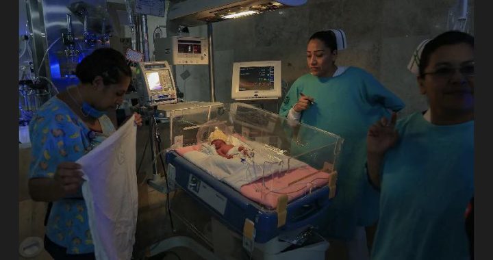 IMSS refuerza atención neonatal con tecnología y protocolos especializados para nacimientos prematuros.