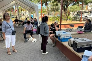 Exitosa jornada de Esterilización en Mezcales.