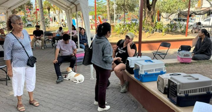 Exitosa jornada de Esterilización en Mezcales.