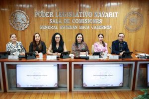 Prepara Congreso mayor defensa legal para víctimas de abuso y violencia vicaria.