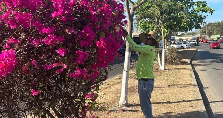 SISEP Continúa con los Trabajos de Embellecimiento del Municipio , En BADEBA.