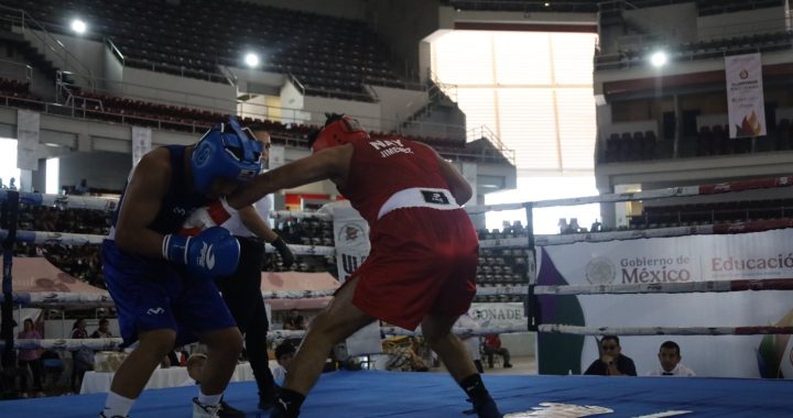 Nayarit mantiene actividad de la Olimpiada Nacional CONADE 2026 con la disciplina de Boxeo.