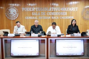 Analiza Congreso ratificación de la consejera del FAN.