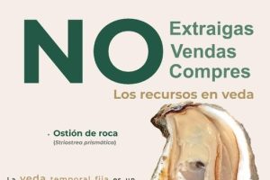 Bahía de Banderas se suma a estrategia nacional para proteger el ostión de roca.