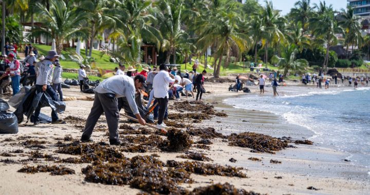 Bahía de Banderas fortalece el cuidado de sus playas con jornada del Limpiatón.