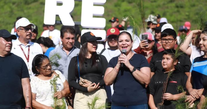 Exitosa reforestación del Gobierno de Tepic en el cerro de San Juan.