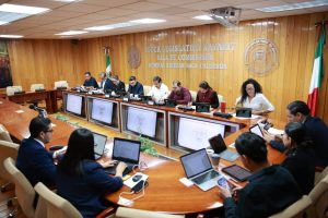 Analiza Congreso perfiles de aspirantes a la titularidad de la ASEN.