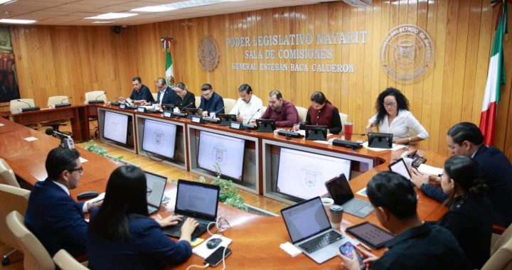Analiza Congreso perfiles de aspirantes a la titularidad de la ASEN.