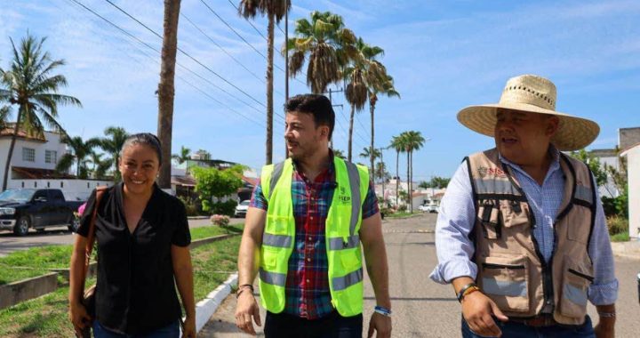 Supervisa Israel Santillán jornada de bacheo en Palma Real.