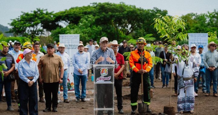 Miguel Ángel Navarro y Beatriz Estrada se suman a la Jornada Nacional de Reforestación con 50 mil árboles en Nayarit.