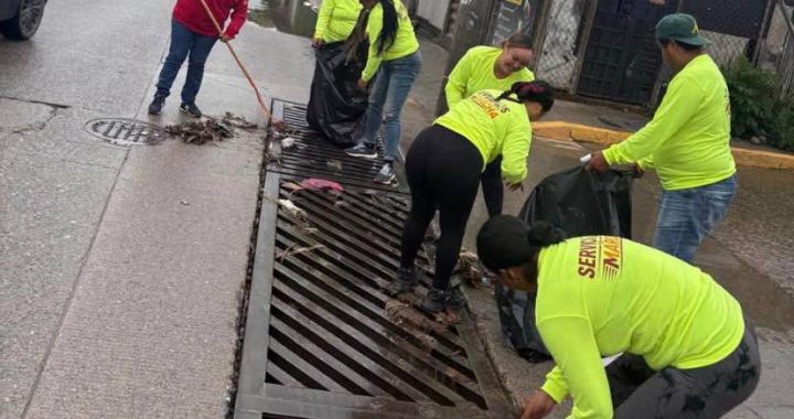 SISEP refuerza limpieza de bocas de tormenta en Bahía de Banderas .