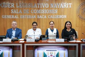 Avanza en el Congreso procesos de justicia laboral e igualdad municipal .